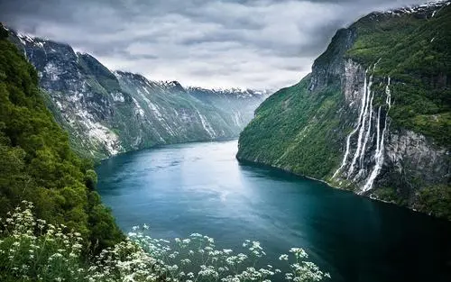 可靠性网络化